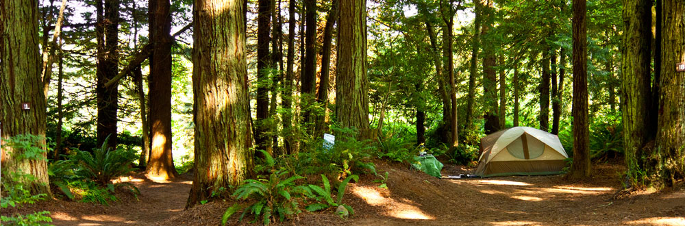 Tent Campground - Trinidad, California